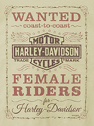 Harley-Davidson 3
