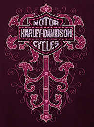 Harley-Davidson 6